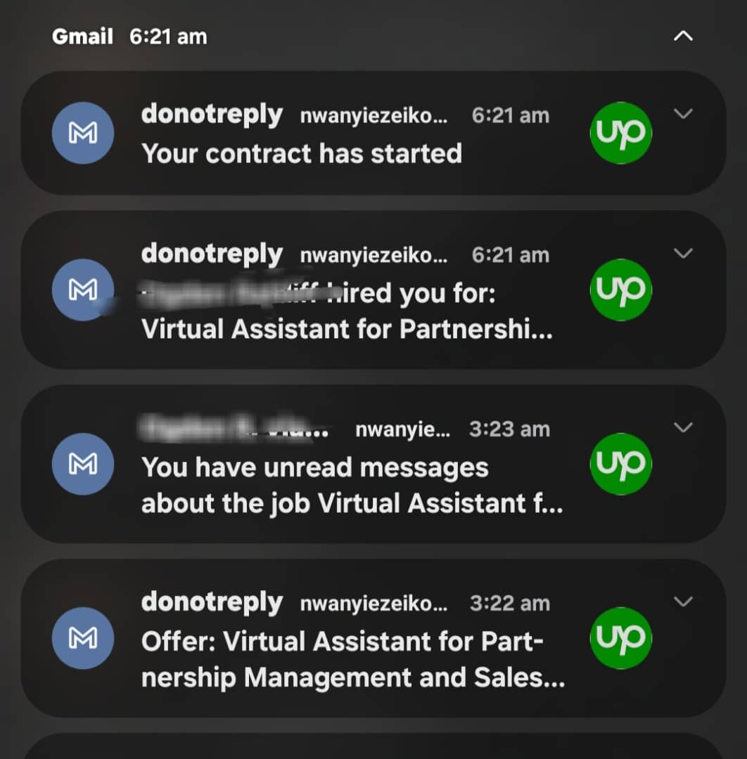 Upwork Job Offer 1